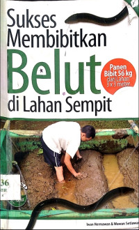 Image of Sukses Membibitkan Belut di Lahan Sempit